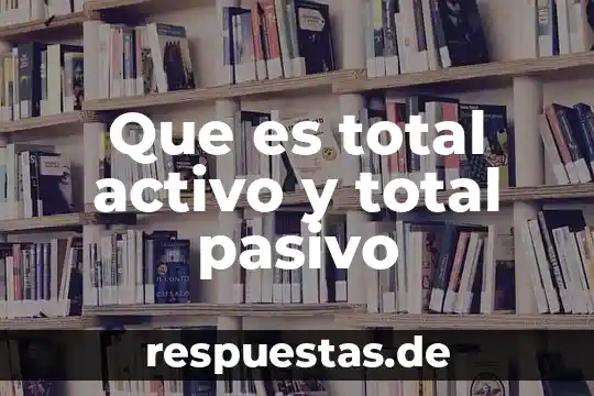 Que es el manejo total del agua 7 Que es total activo y total pasivo