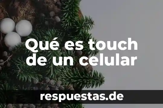 Que es el envejecimiento celular prematuro 3 Qué es touch de un celular