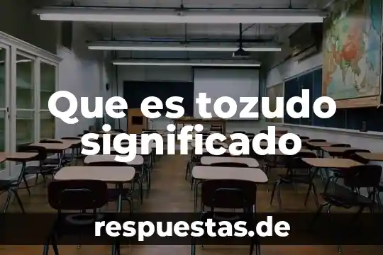 Que es investigacion cientifica significado 6 Que es tozudo significado