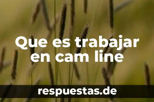 Cam manufactura asistida por computadora que es 3 Que es trabajar en cam line
