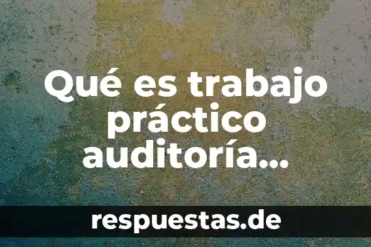 Que es significado practico 5 Qué es trabajo práctico auditoría administrativa