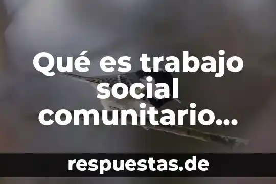 Qué es trabajo social comunitario con autor