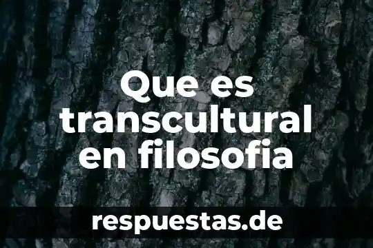 Qué es el silencio en filosofía 3 Que es transcultural en filosofia
