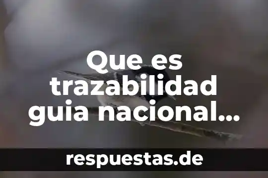 Qué es una cadena red trófica 8 Que es trazabilidad guia nacional de cadena de custodia