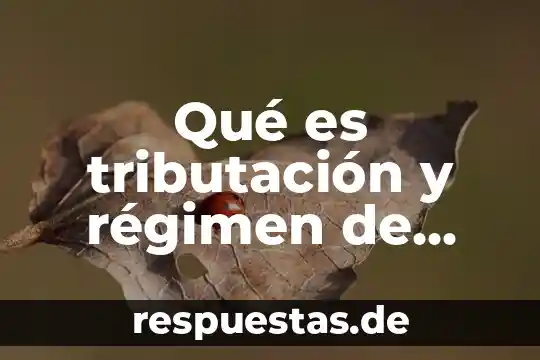 Que es la desigualdad social en historia 6 Qué es tributación y régimen de seguridad social