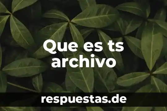 Que es reglamentos mexico 6 Que es ts archivo
