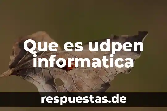 Qué significa o qué es un frames en informática 3 Que es udpen informatica