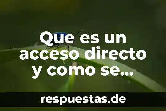 Que es la planta de tomates verdes 6 Que es un acceso directo y como se identifica