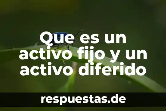 Qué es pago diferido para el SAT 3 Que es un activo fijo y un activo diferido