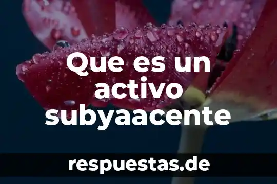 Qué es el activo circulante ejemplos 7 Que es un activo subyaacente