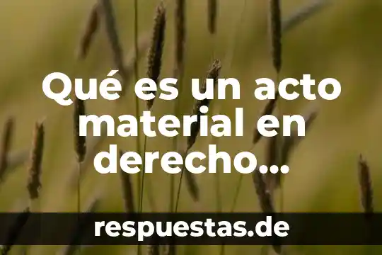 Qué es un acto material en derecho administrativo
