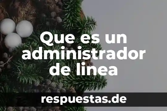 Que es un administrador y sus funciones 4 Que es un administrador de linea