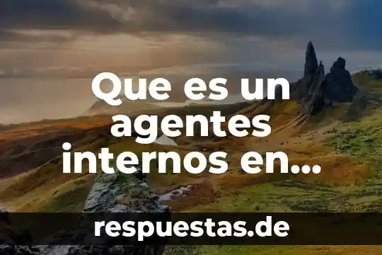 Qué es componentes internos de un monitor 7 Que es un agentes internos en contabilidad