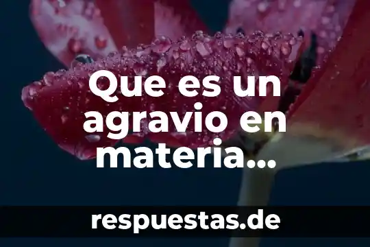 Agravio que es 4 Que es un agravio en materia juridica