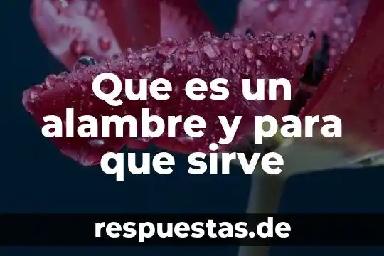 Qué es un comité de bioética y para qué sirve 6 Que es un alambre y para que sirve
