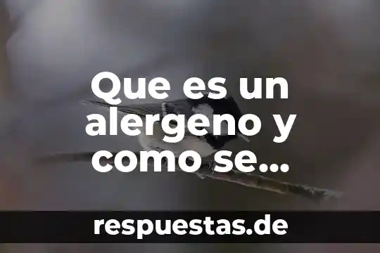 Que es una vista de planta arquitectonica 8 Que es un alergeno y como se identifica en planta
