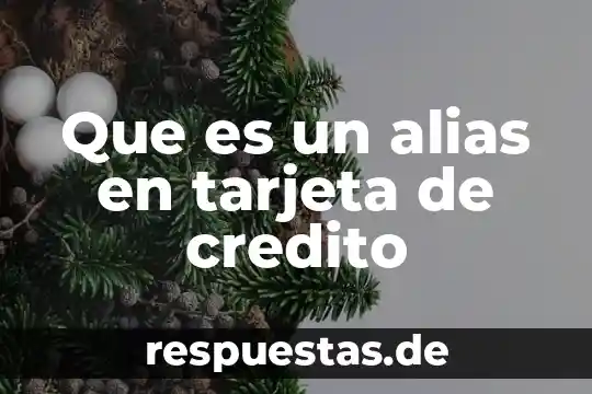 Qué es una tarjeta feed 4 Que es un alias en tarjeta de credito