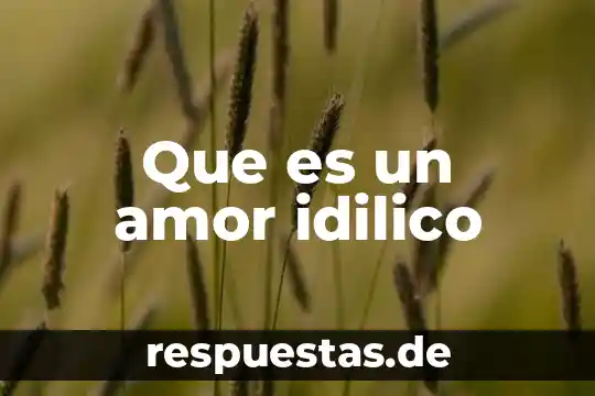Como el amor el odio los que es 6 Que es un amor idilico