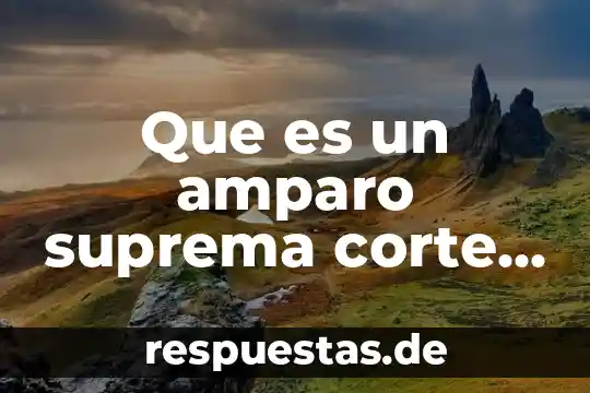 Que es un amparo suprema corte de justicia