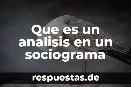 Que es un analisis en un sociograma