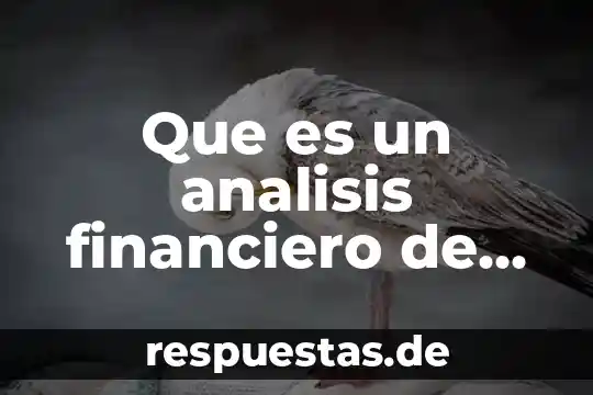 Que es un ratio financiero y cual es su función 8 Que es un analisis financiero de un sistema de informacion