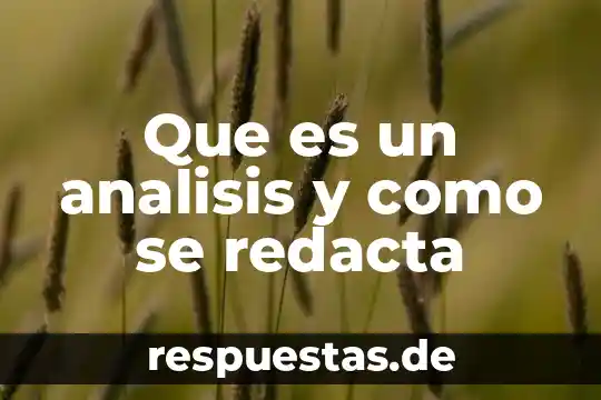 Que es un analisis y como se redacta