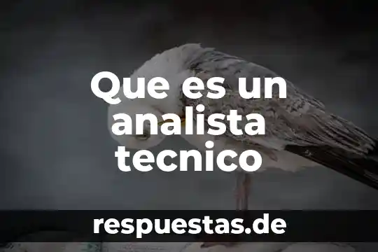 Que es un paro tecnico 5 Que es un analista tecnico