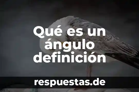 Que es la justicia resumen hans kelsen 5 Qué es un ángulo definición