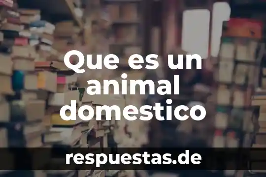 Que es ración animal 5 Que es un animal domestico