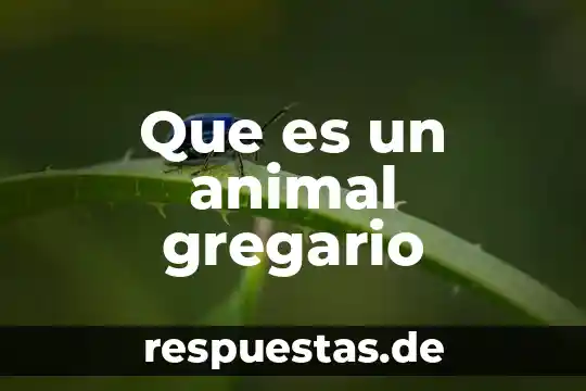 Que es riesgos logicos en informatica 7 Que es un animal gregario