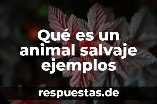 Que es una ruta de un archivo 3 Qué es un animal salvaje ejemplos