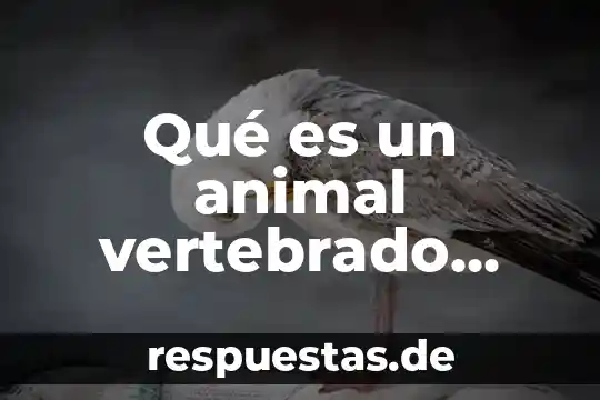 Que es el ciclo de vida de un animal 6 Qué es un animal vertebrado definición