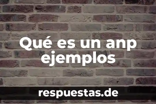 Que es el sistema de nombre de dominio ejemplos 6 Qué es un anp ejemplos