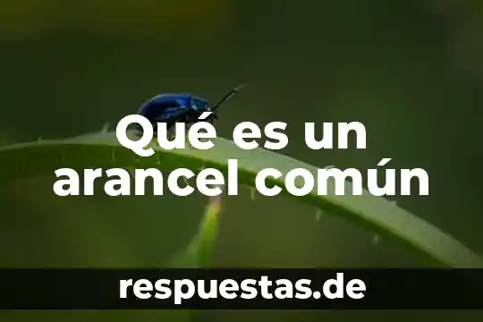 Termómetro común TC que es 4 Qué es un arancel común