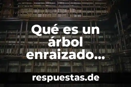 Qué es un árbol enraizado matemáticas discretas