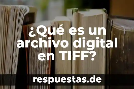 Qué es privacidad digital 4 ¿Qué es un archivo digital en TIFF?