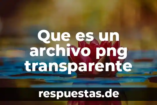 Qué es el concepto de unicornio 6 Que es un archivo png transparente