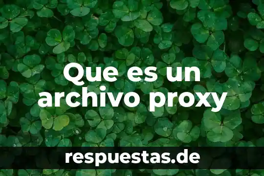 Qué es un archivo ACIS 3 Que es un archivo proxy