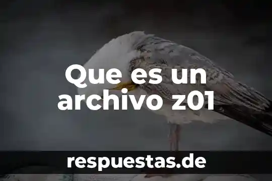 Que es un archivo proxy 6 Que es un archivo z01
