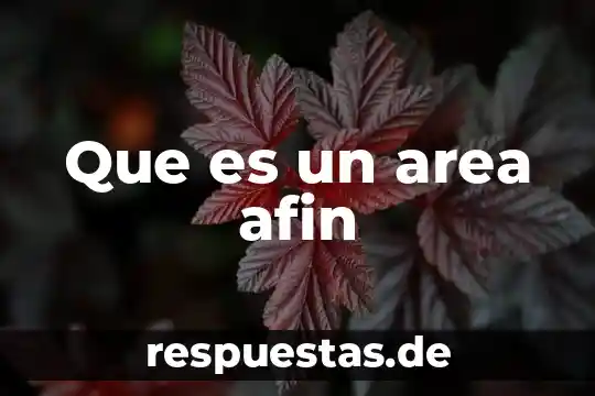 Qué es el concepto de área local 6 Que es un area afin