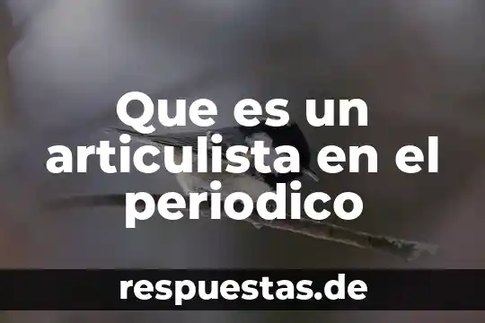 Que es el estado del conocimiento en la investigacion 3 Que es un articulista en el periodico