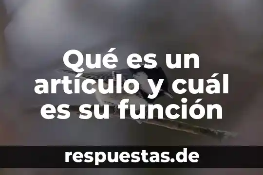 Que es una antologia y cual mes su funcion 7 Qué es un artículo y cuál es su función