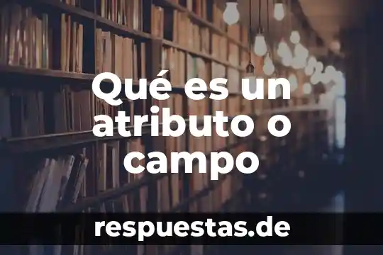 Que es un campo semantico y sus caracteristicas 3 Qué es un atributo o campo