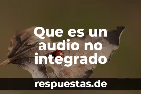 ¿Qué es el número audio? 3 Que es un audio no integrado