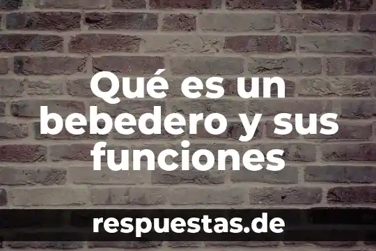 Qué es un bebedero y sus funciones