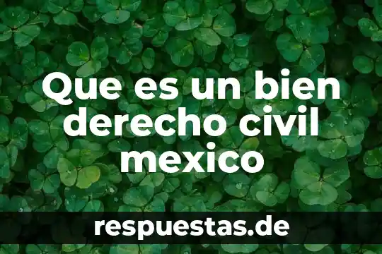 Que es el estado de derecho doctrina juridicas unam 6 Que es un bien derecho civil mexico