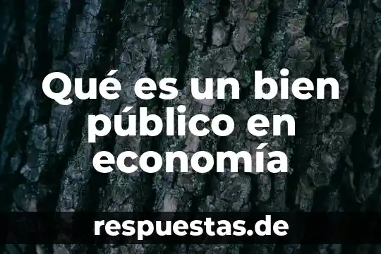 Qué es un bien público en economía