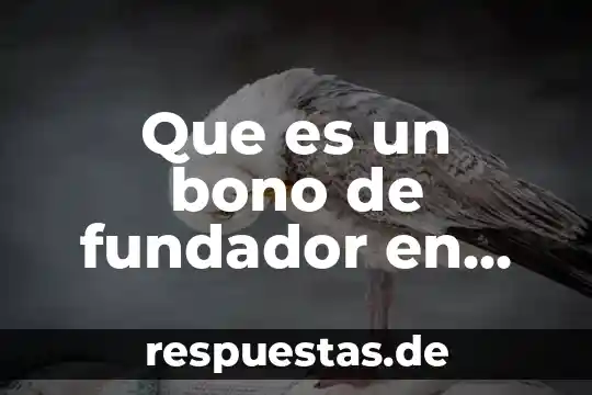 Democratización radical de la sociedad americana que es 5 Que es un bono de fundador en una sociedad