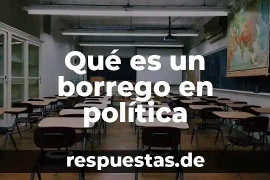 Qué es un política interna 8 Qué es un borrego en política
