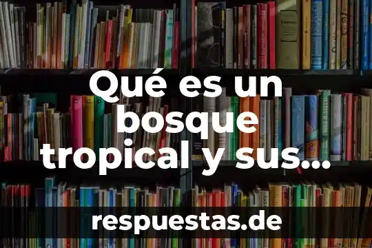 Que es la sociedad cooperativa y sus caracteristicas 8 Qu茅 es un bosque tropical y sus caracter铆sticas